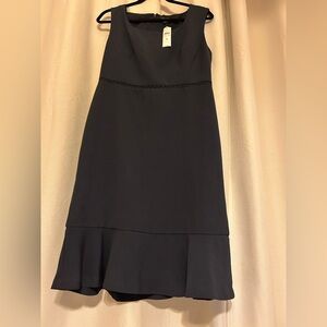 Ann Taylor Navy Dress